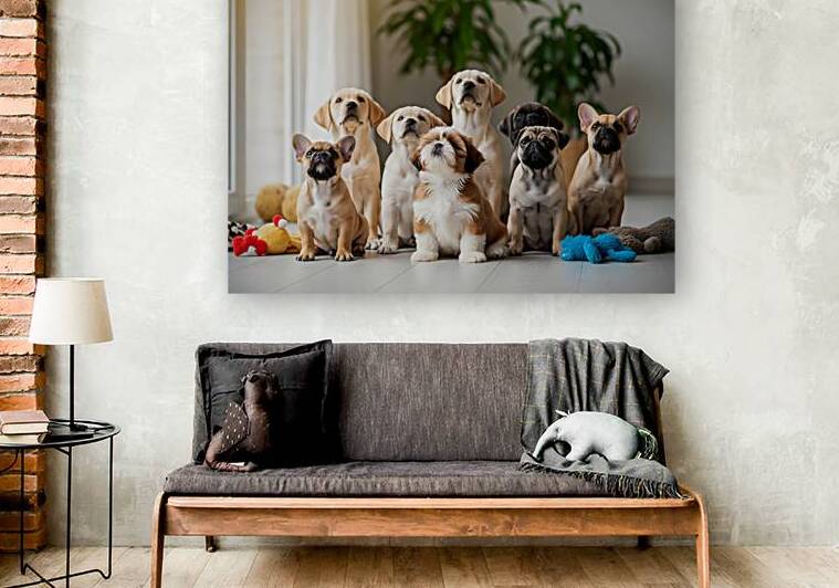 Shih Tzu Puppy Spots Delicious Treats Above by Puppy Prints