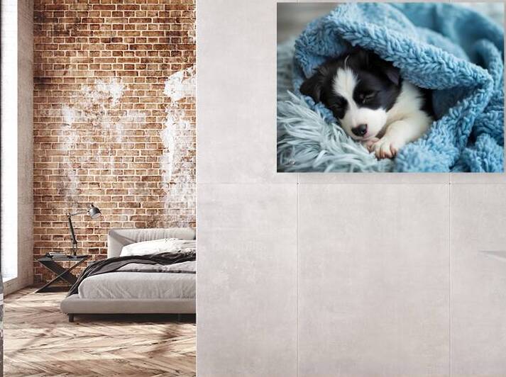 Border Collie Puppy Dreams Under Soft Blanket by Puppy Prints
