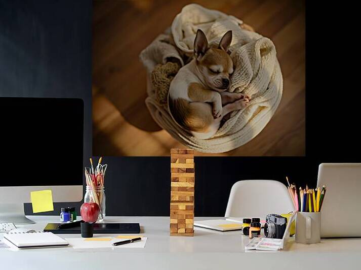 Chihuahua Puppy Naps On Laundry Pile by Puppy Prints