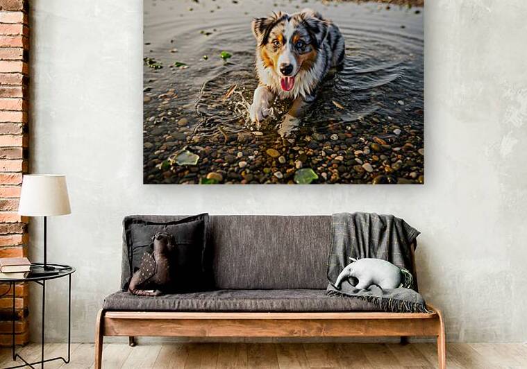 Playful Australian Shepherd Puppy Splashes In Shallow Tide Pool by Puppy Prints