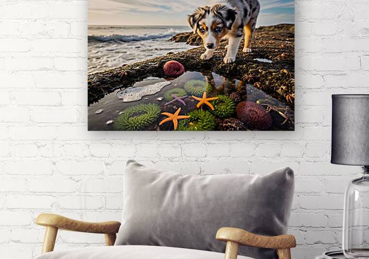 Australian Shepherd Puppy Discovers Tide Pools by Puppy Prints