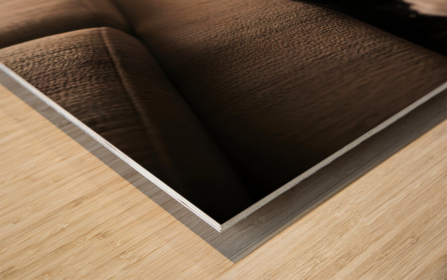 Brown Yorkshire Terrier Puppy Hiding Under Couch After Mess Wood print