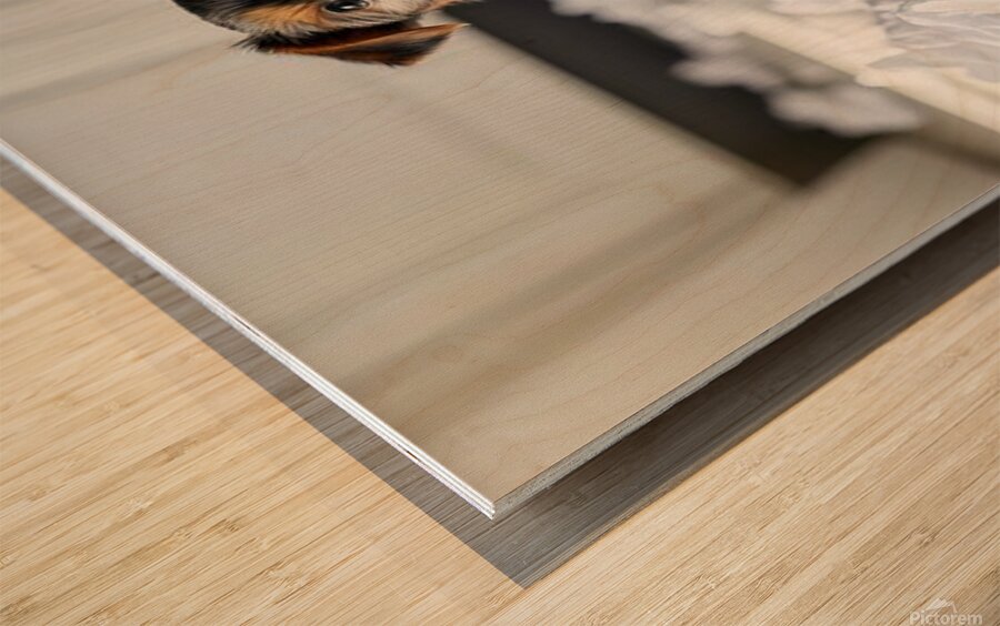 Guilty Yorkshire Terrier Puppy Surrounded By Shredded Tissue Wood print