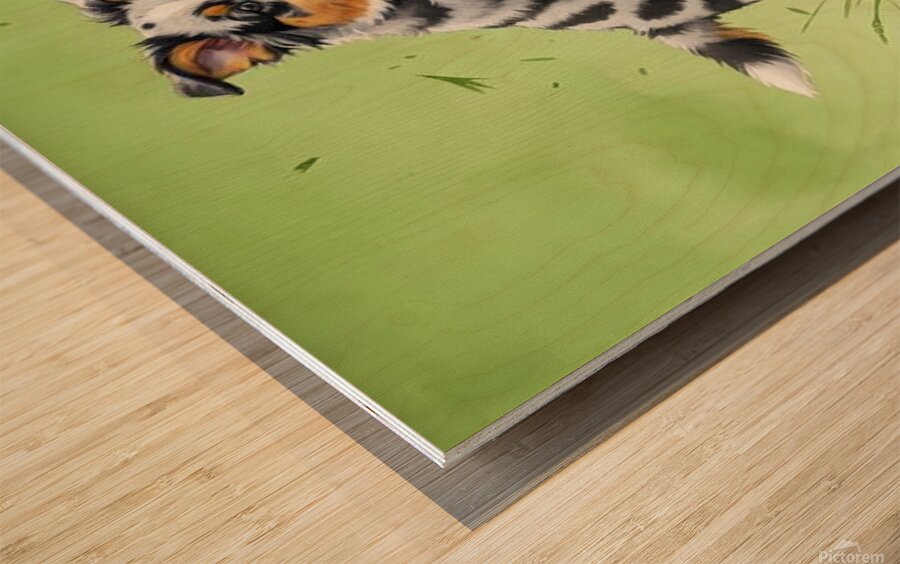 Blue Merle Australian Shepherd Puppies Playing Together Wood print