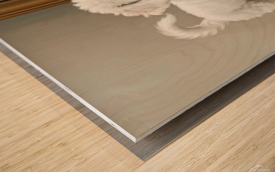 Playful White Bichon Frise Puppy Invites Mirror Reflection To Play Wood print