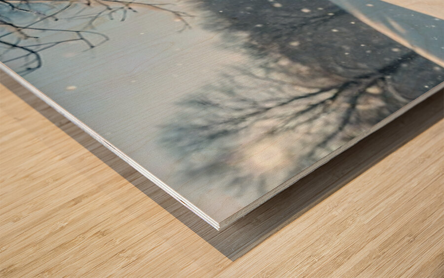 Curious White Bichon Frise Puppy Takes First Steps Into Deep Snow Wood print