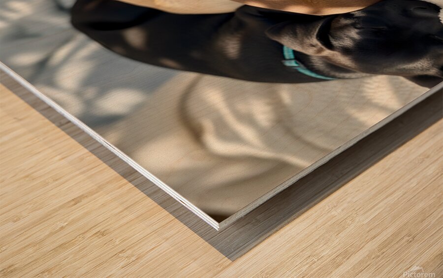 Sleepy Brown Dachshund Puppy Cuddling With Tired Siblings Wood print