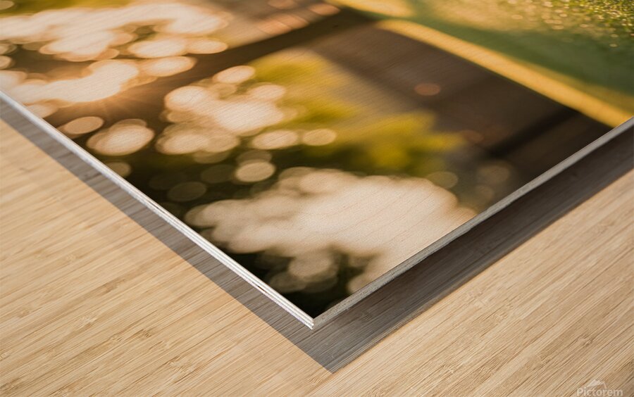 Brown Dachshund Puppy Waking Up In Sunny Garden Wood print