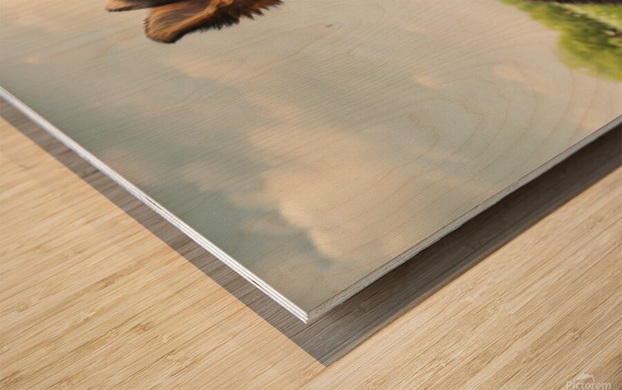 German Shepherd Puppy Discovers Butterfly In Meadow Wood print