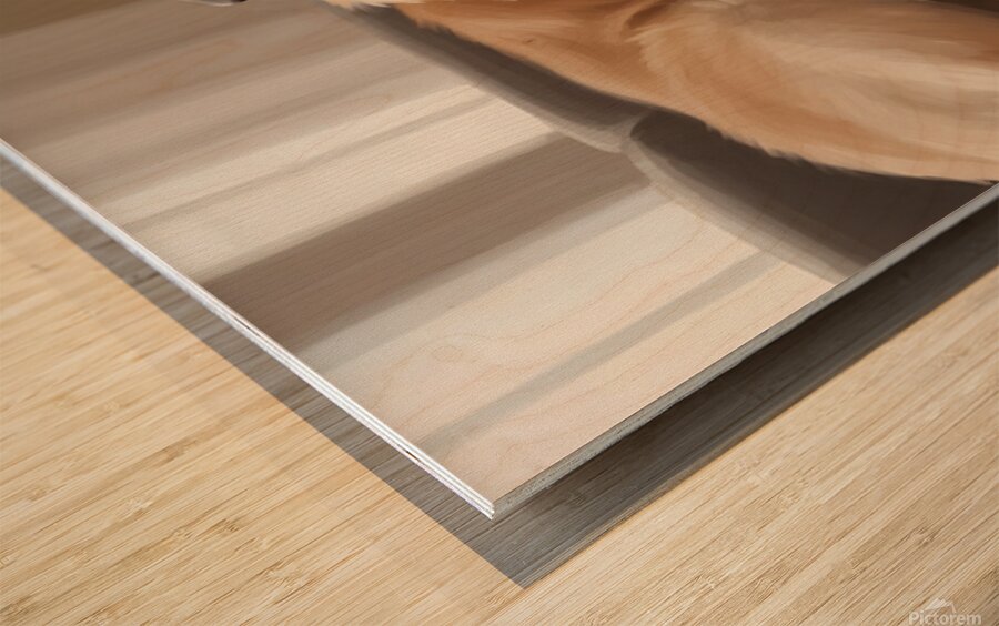 Sleepy Golden Retriever Puppy Drifts Off After Nursing Wood print