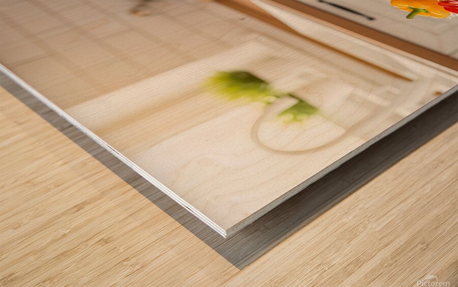 Happy Shih Tzu Puppy In Tidy Kitchen After Cooking Wood print