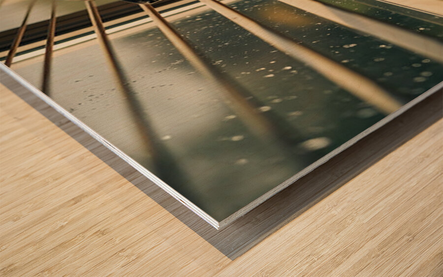 An adorable black and tan Rottweiler puppy stands curiously at a window Wood print