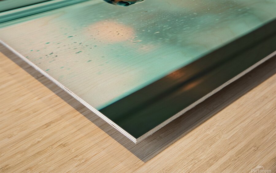 Hopeful Rottweiler Puppy Anticipates End Of Rainy Weather Wood print