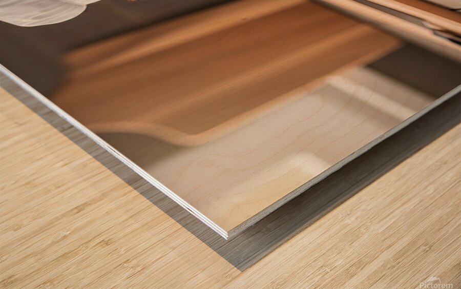 Shih Tzu Puppy Chef Ready To Cook Wood print