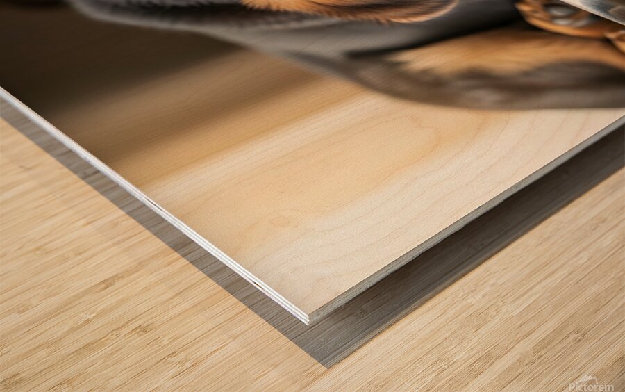 Drowsy German Shepherd Puppy Resting After Eating Wood print