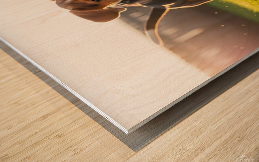 Beagle Puppys Energetic Ball Chase Adventure Wood print