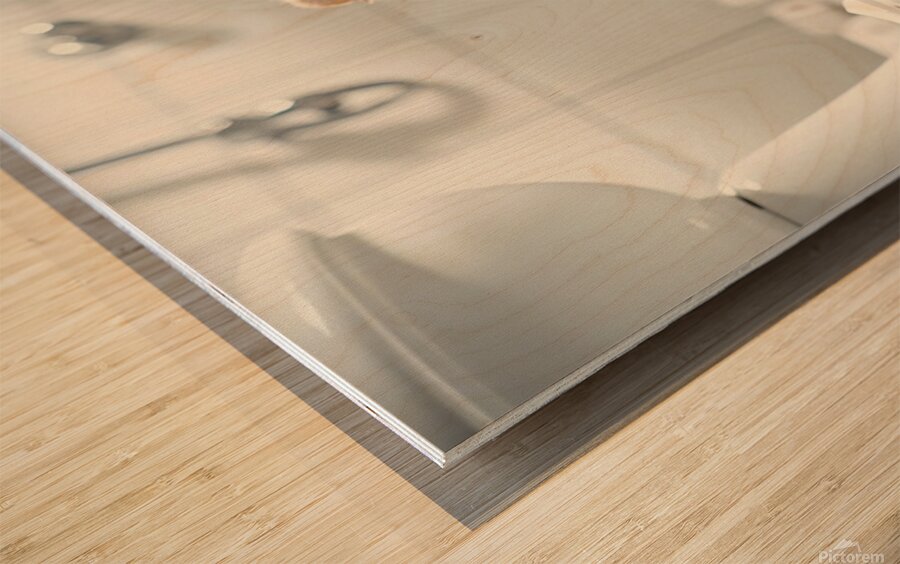 Pomeranian Puppy Discovers Toilet Paper Roll Wood print