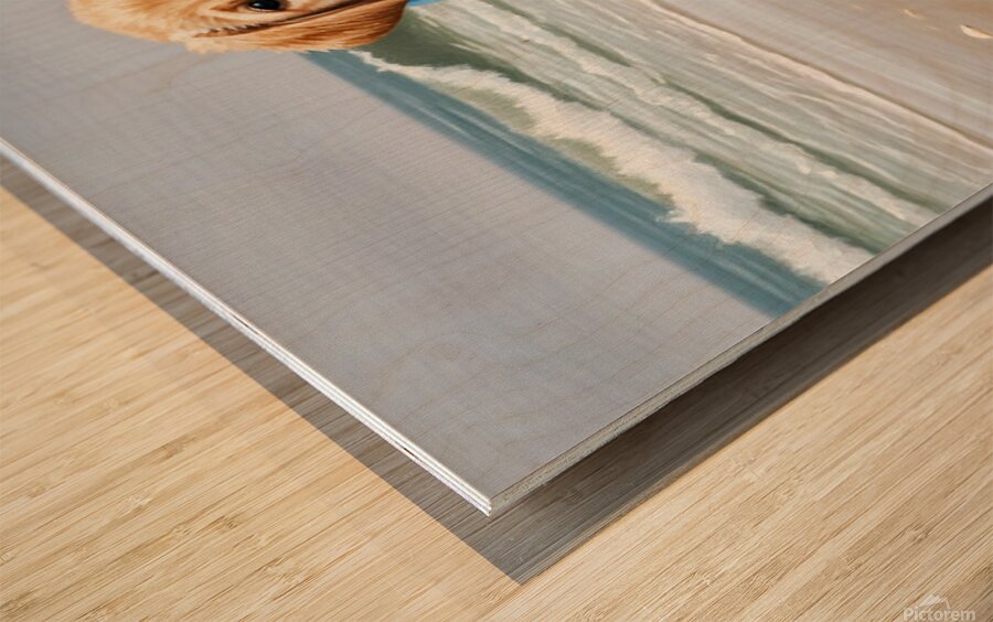 Shivering Labrador Puppy Wrapped In Beach Towel Wood print