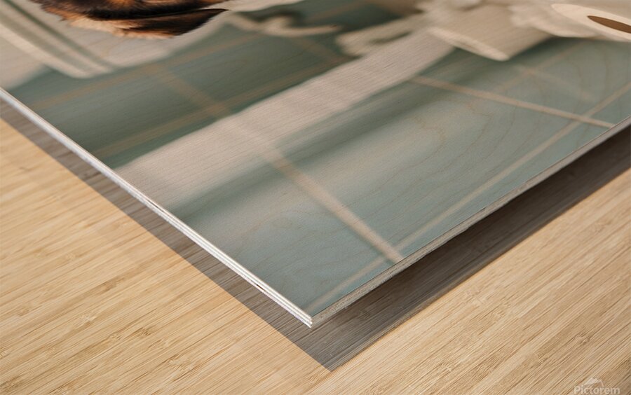 German Shepherd Puppy Discovers Bathroom Treasure Wood print