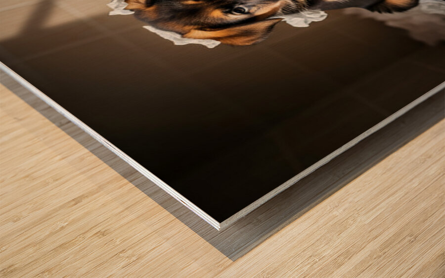 German Shepherd Puppy Sits Among Paper Destruction Wood print