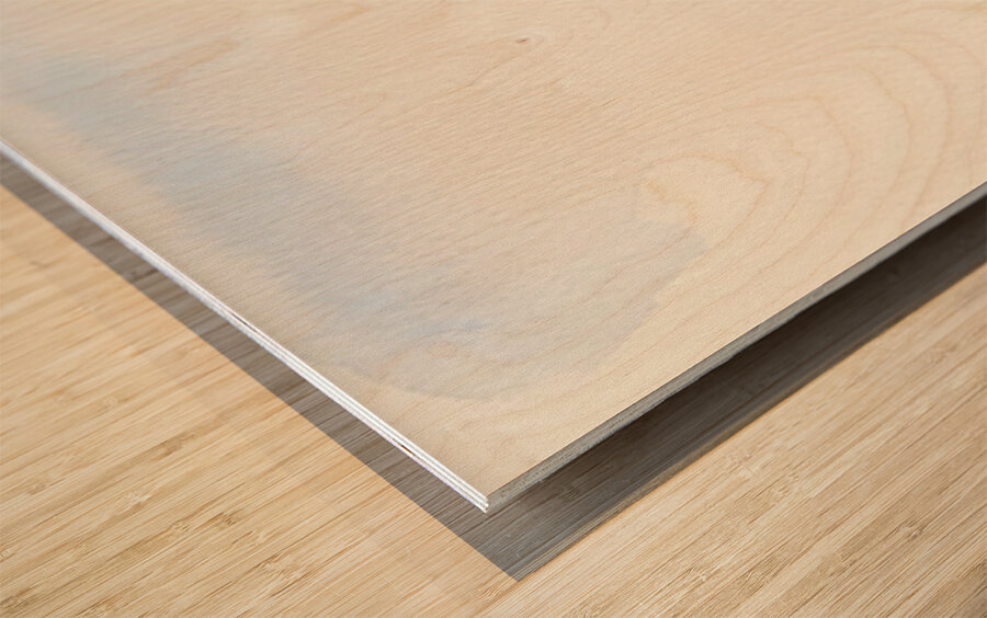 Exhausted Dachshund Puppy Rests Beside The Giant Ball Wood print