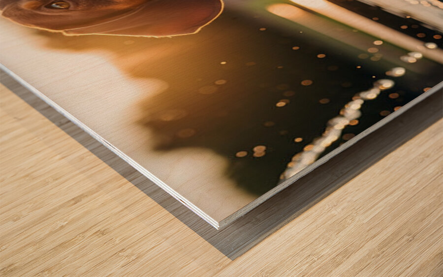 Happy Puppy After Drinking Water Wood print