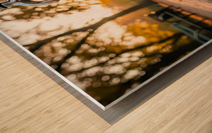 Dachshund Puppy Discovers Water Fountain Wood print