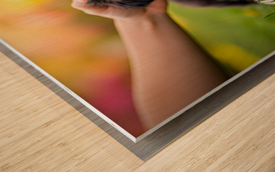 Border Collie Puppy Feeling Sleepy After Ear Scratches Wood print