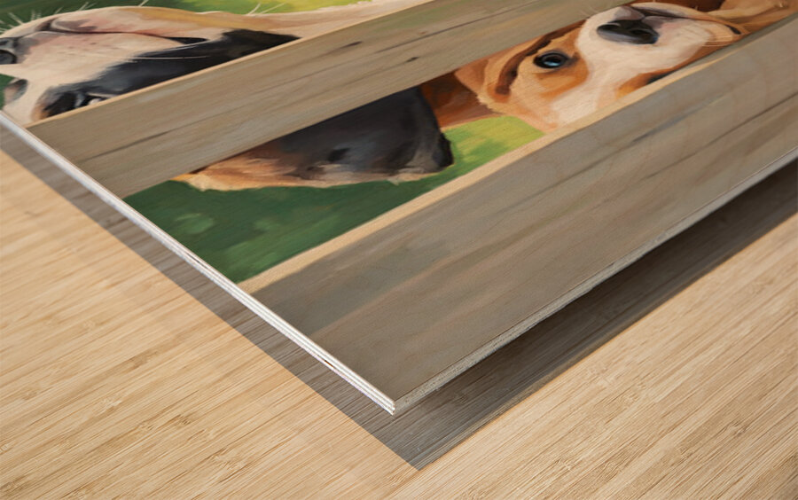 Cane Corso Puppy Discovers World Beyond The Fence Wood print