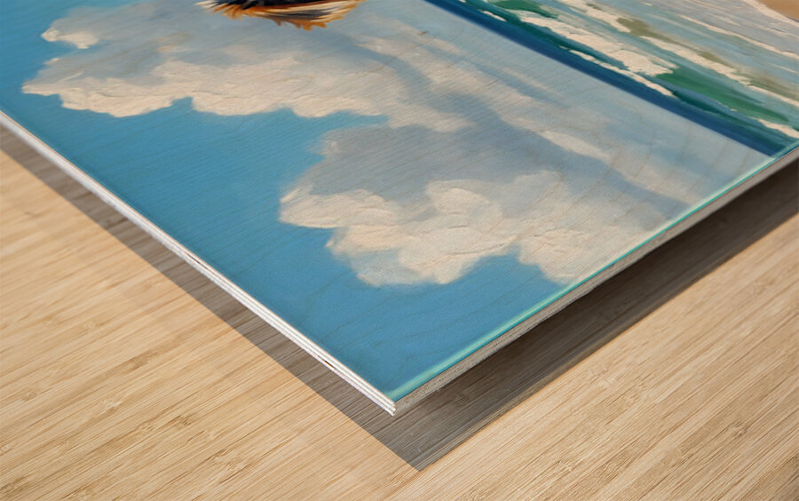 Yorkshire Terrier Puppy Discovers The Beach Wood print