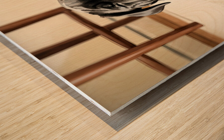 Cane Corso Puppy Stretches After Peaceful Nap Wood print