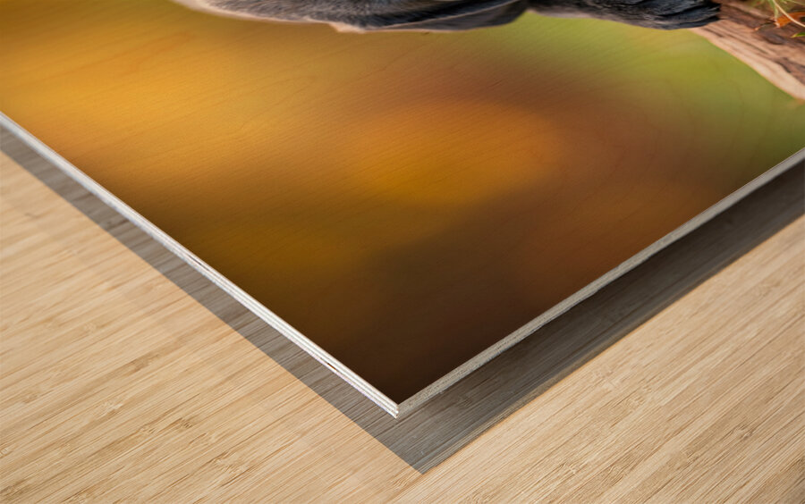 Content Cane Corso Puppy Rests On Stick Pillow Wood print