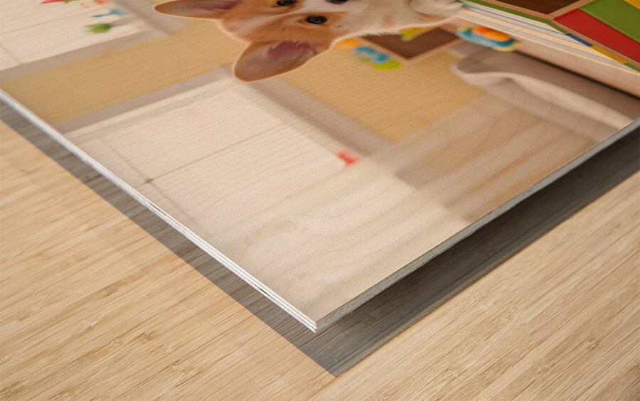 Corgi Puppy Discovers The Special Toy Box Wood print