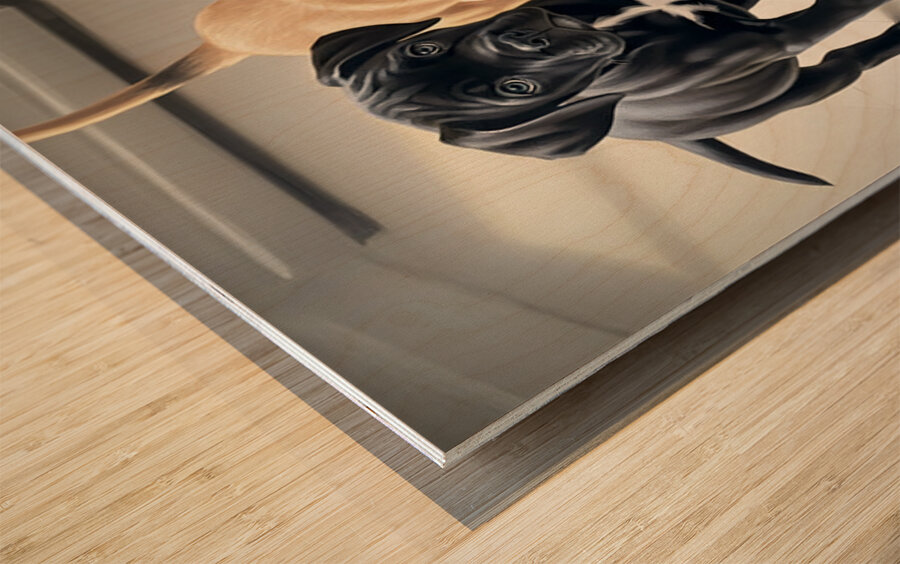 Cane Corso Puppy Waits His Turn At Water Bowl Wood print