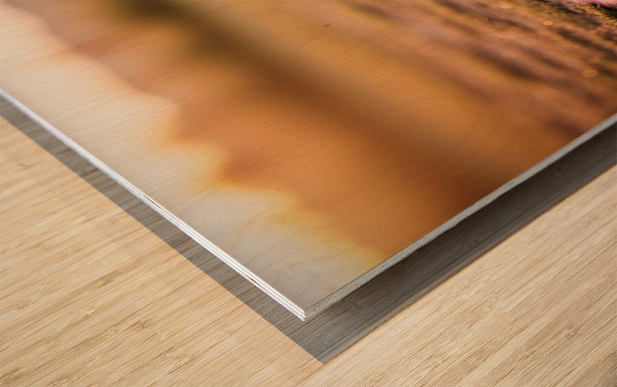 Muddy Chihuahua Puppy After Playtime Wood print