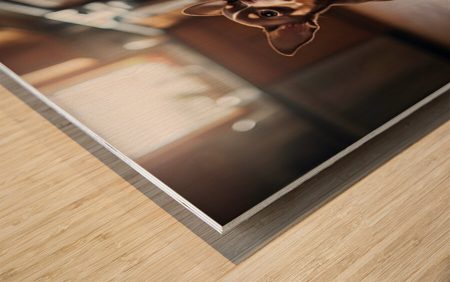 Chihuahua Puppy Discovers Birthday Cake Wood print