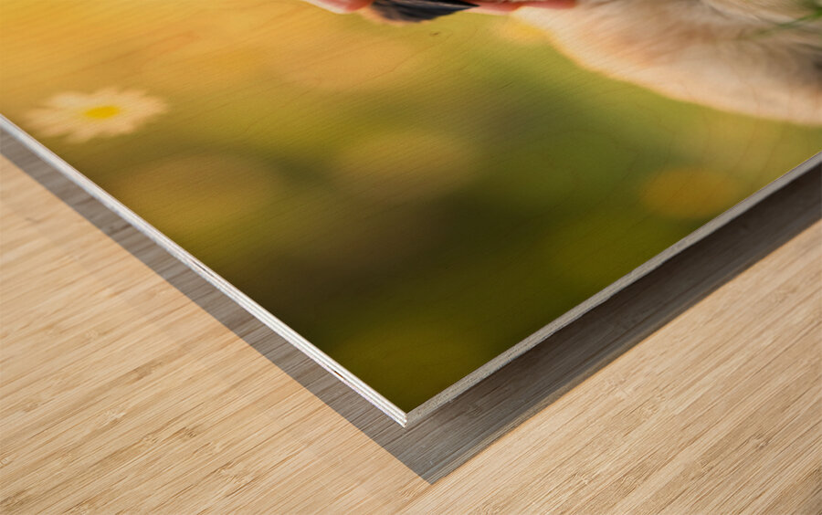 Sleepy Pug Puppy Rests After Perfect Ear Scratches Wood print