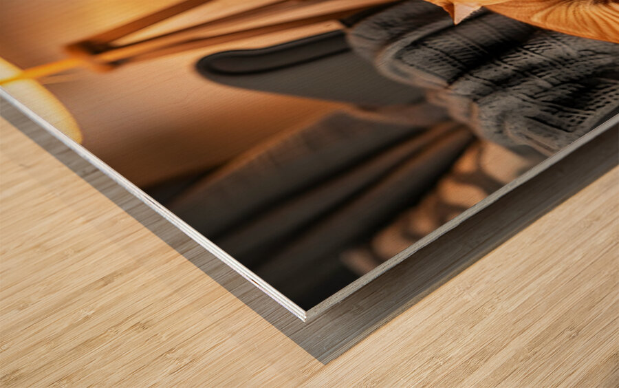 German Shorthaired Pointer Puppy Meets Sleepy Cat Wood print