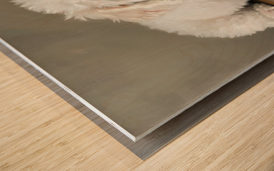 Patient Bichon Frise Puppy Waits By Food Bowl Wood print