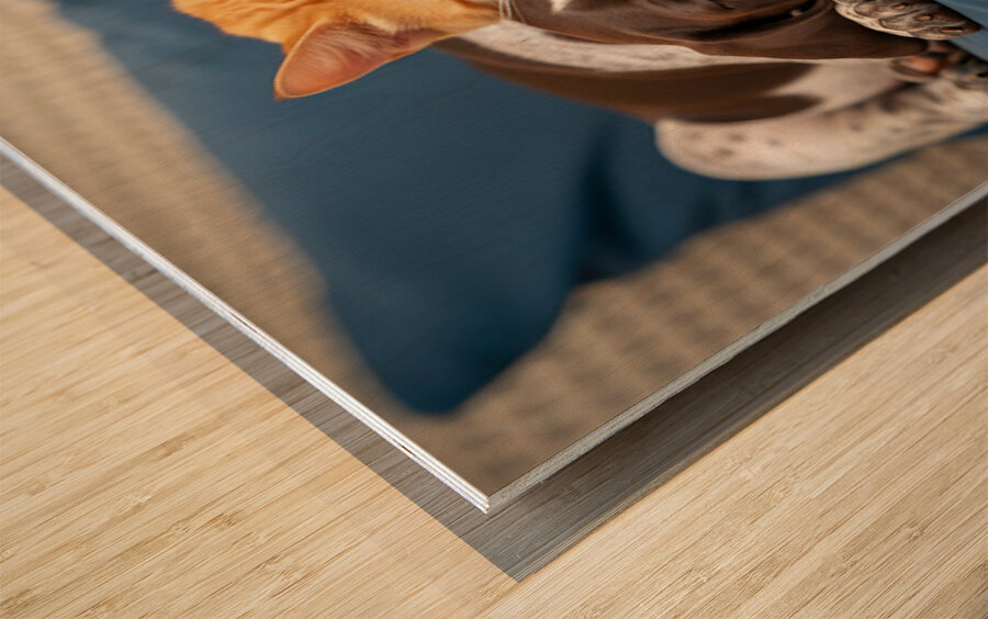 Puppy And Cat Snuggle Together Peacefully Wood print