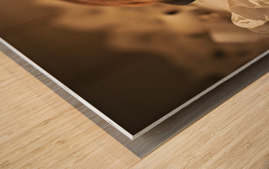 Exhausted Bulldog Puppy After Paper Battle Wood print