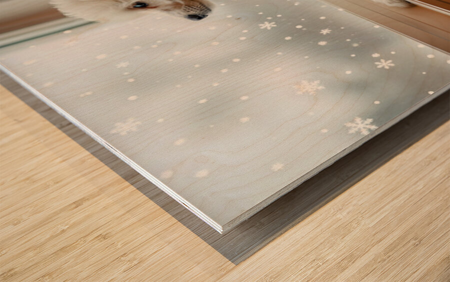 Poodle Puppy Discovers First Snowfall Through Window Wood print