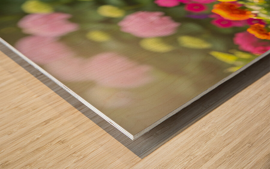 French Bulldog Puppy Finds Perfect Stick In Garden Wood print