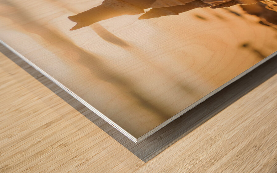 Golden Retriever Puppy Discovers Amazing Sand Castle Wood print