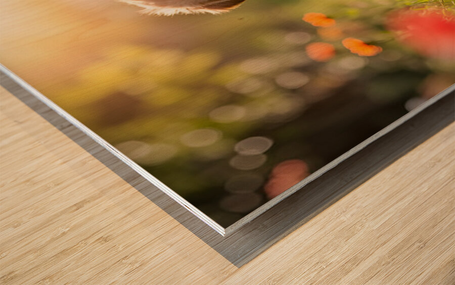 Golden Retriever Puppy Discovers A Giant Red Ball Wood print