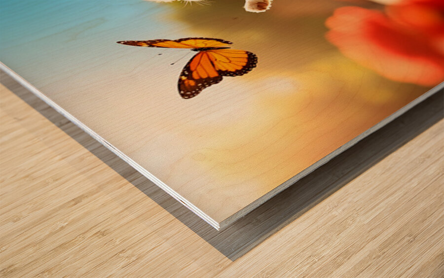 Shih Tzu Puppy Discovers Beautiful Butterfly In Garden Wood print