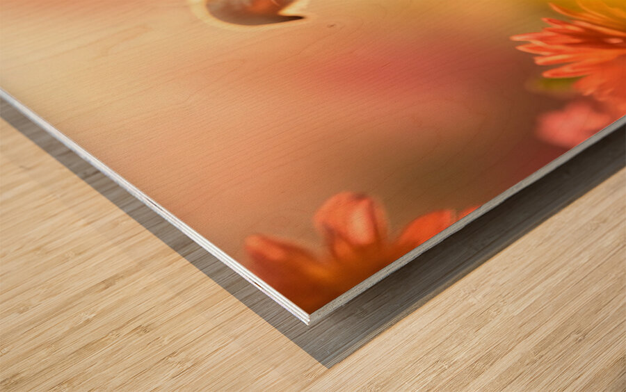 Chihuahua Puppy Discovers A Yellow Dandelion Wood print