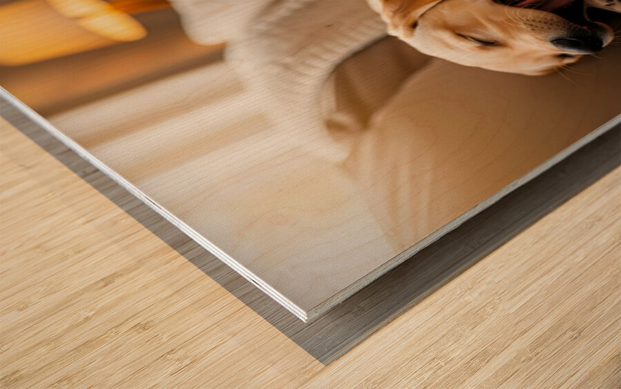 Golden Puppy Finds Spot On Crowded Couch Wood print