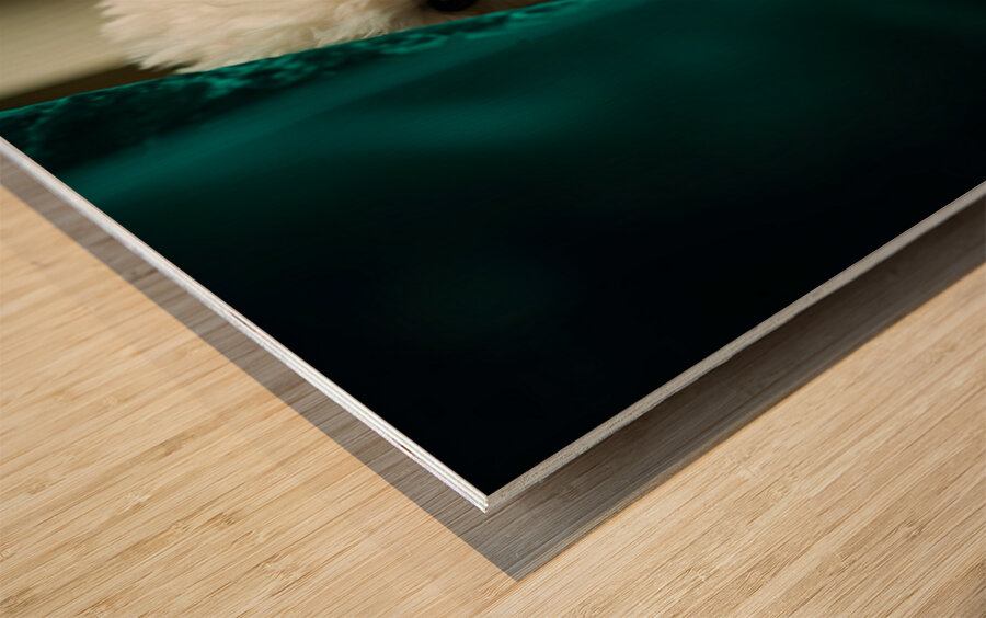 Happy Poodle Puppy Sitting By Blue Curtains Wood print