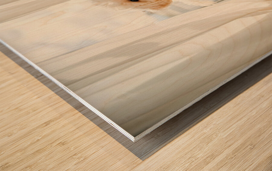 Poodle Puppy Peeking Behind Burgundy Curtains Wood print